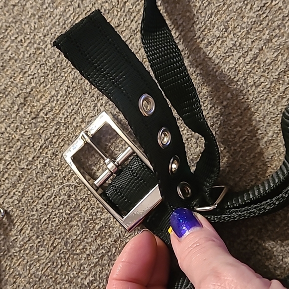 Canny Collar SZ 4 No Pull Dog Collar - Picture 12 of 16